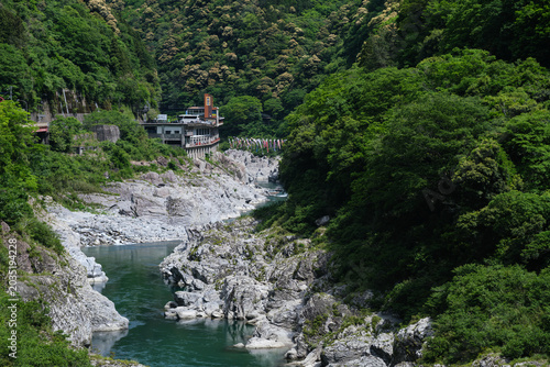 Tableau sur toile 新緑の絶壁に囲まれた大歩危峡（徳島県）