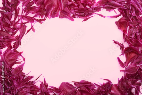 Flower petals on a pink table with copy space in the middle. Top view.