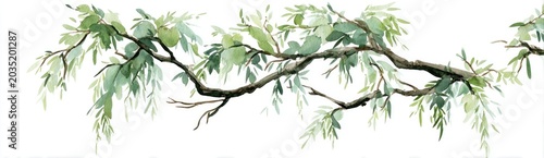 A watercolor painting of a branch with flowing green leaves