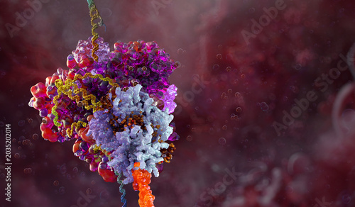 Fotografia Protein complex interaction with DNA strand