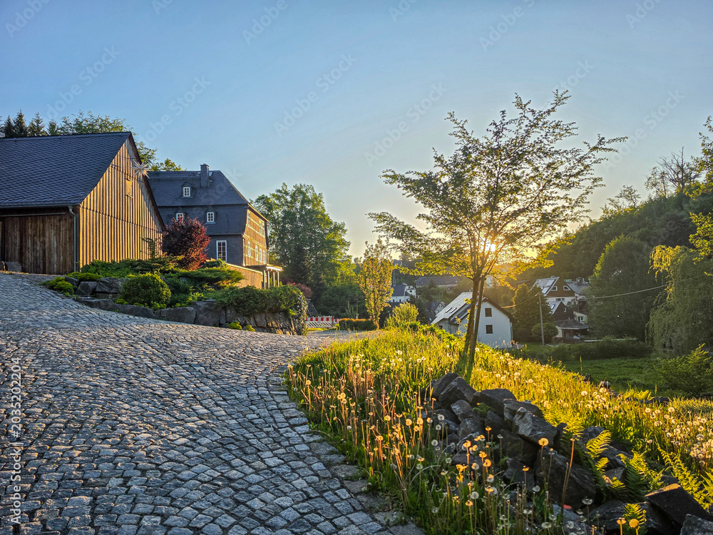 Φωτογραφία gently curving cobblestone road bordered by wildflowers, stone edging, and residential buildings