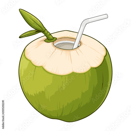 Young Coconut Drink Vector Illustration