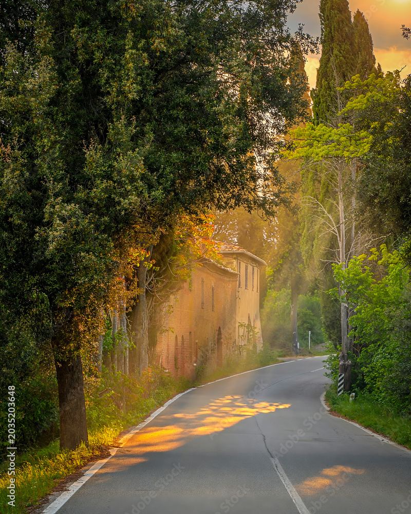 Fototapeta premium Beautiful road scene in Crete Senesi Region in Italy