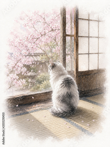 Watercolor Illustration of a Fluffy Cat Looking at Cherry Blossoms from a Traditional Japanese Room