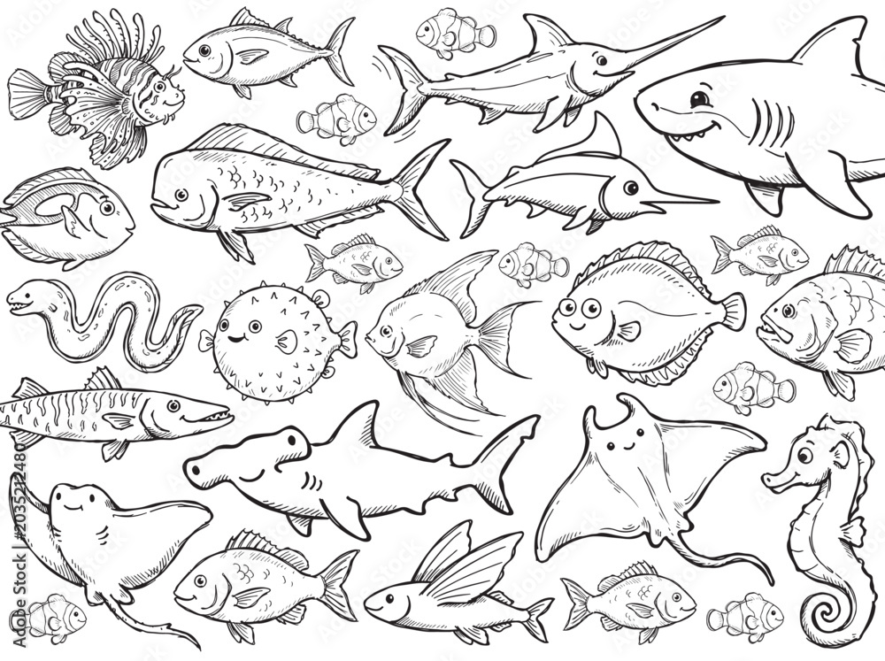 Fototapeta premium Set of Hand Drawn Sketch Sea Animals and Fish Vector Illustration Collection