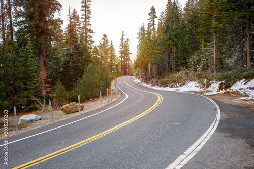 Empty winding mountain road through a pine forest at sunset in autumn