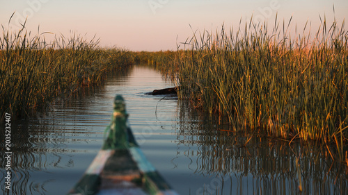 Exploring the serene Mesopotamian Marshes in southern Iraq at sunset
