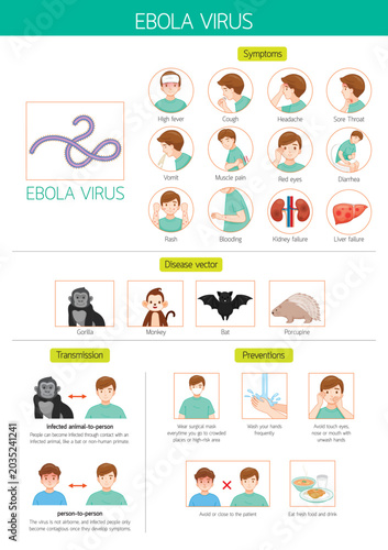 Infographic In English Texts Of Ebola Virus Disease Vector, Symptoms, Transmission and Preventions With Man