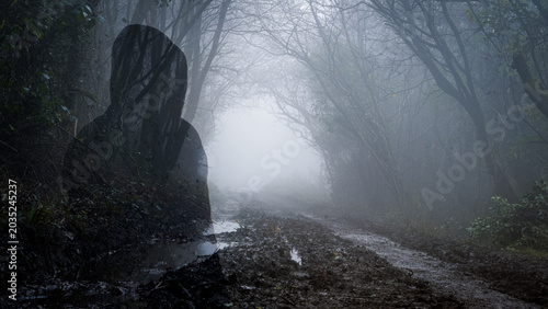 A double exposure of a hooded figure, silhouetted on a spooky foggy winter forest