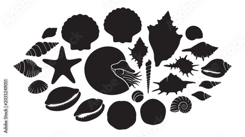 Bild auf Leinwand Collection Of Marine Shells And Starfish Black Silhouette