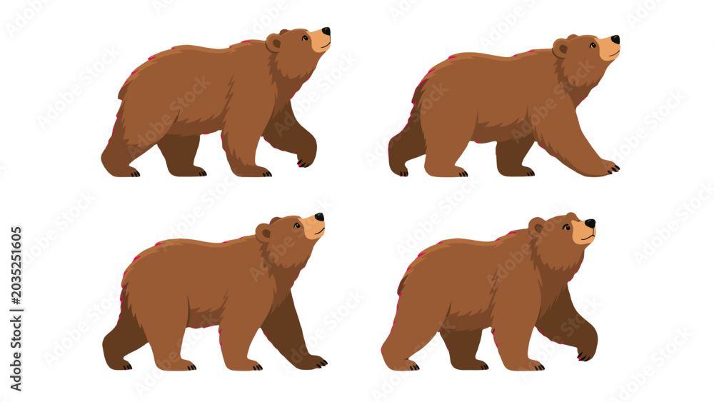 Obraz premium Set of brown bear walking poses in flat vector style