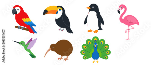 Fotografie Cartoon set of colorful exotic and flightless birds