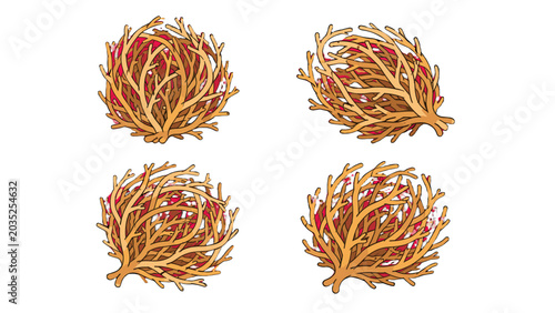 Photos Cartoon tumbleweed set with four dry brush balls