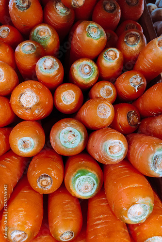 Fresh Organic Carrots Top View at Local Farmers Market for Healthy Nutrition and Sustainability Marketing. Vertical Story for Social Media Ad and Farm to Table Culinary Concept.