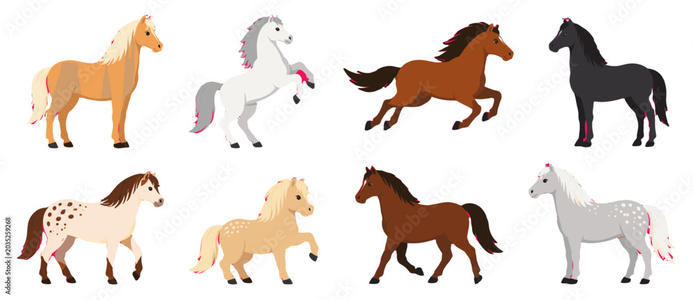 Obraz premium Cartoon horse set with different colors and poses