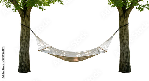 Relaxing hammock suspended between two sturdy trees on a bright sunny day