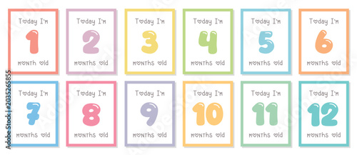 baby months paper tag set with numbers vector illustration
