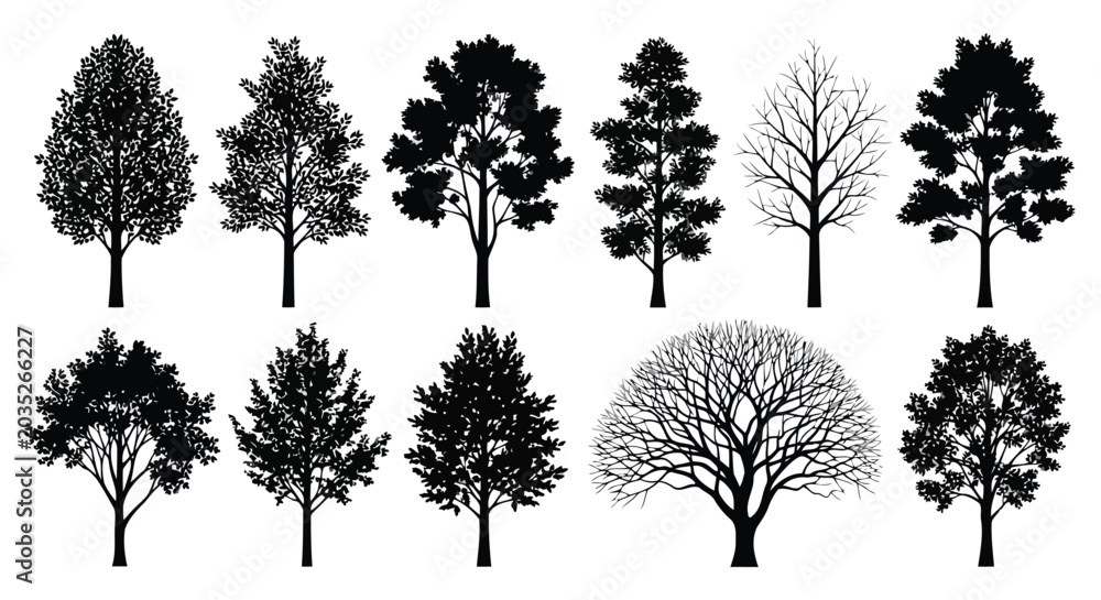 Fototapeta premium Tree silhouettes set with various leafy and bare trees on white background