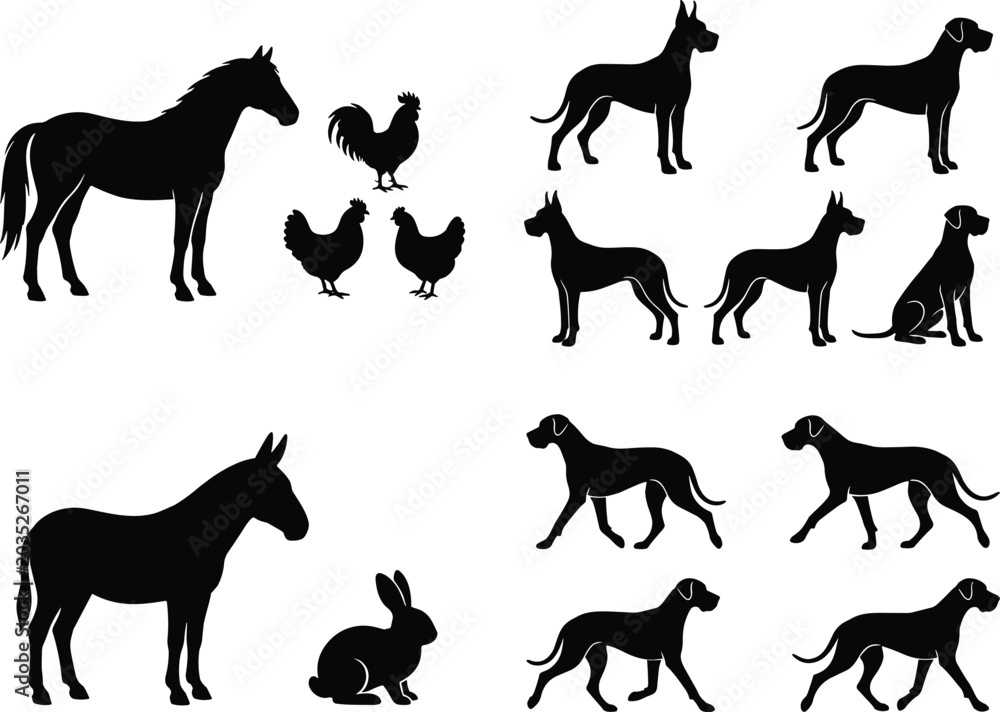 Obraz premium Vector farm animals and domestic dogs silhouettes collection with horse donkey rooster chicken rabbit and great danes
