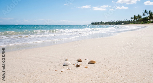 Minimal beach background with small pebbles on white sand, turquoise shoreline, palm trees and bright open sky with copy space