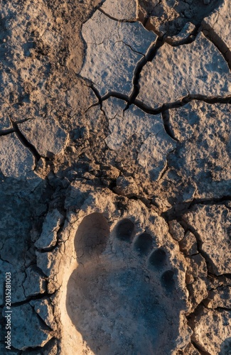 Ecological Footprint on Cracked Dry Earth Symbolizing Climate Change and Global Warming Impact, Vertical Social Media Ad for Sustainability and ESG Awareness Campaign