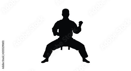 Принти на полотні martial artist silhouette black white background pose stance fighting karate tae