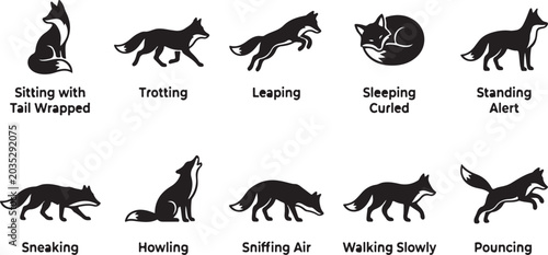 Canvastavla Black wolf in various poses and activities sitting