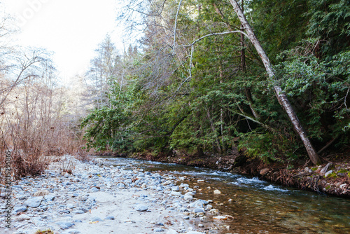 Photos Pfeiffer Big Sur State Park in USA