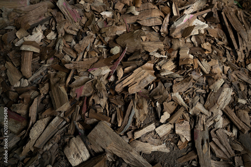 Fotografi Overhead View of Rustic Wood Chips and Shavings Texture