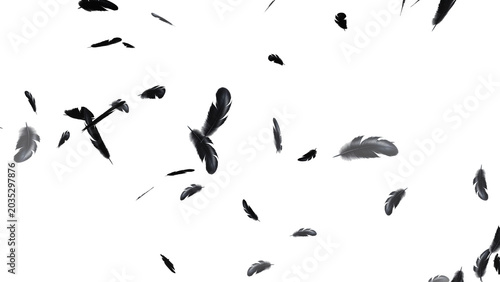Feathers Falling on Black Background