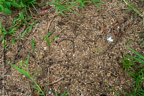 Natural Ground Texture with Sand, Pebbles, and Green Grass