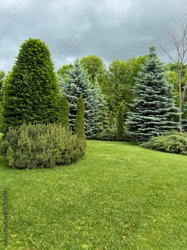 path in garden