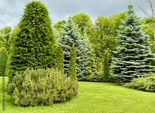 trees in the garden