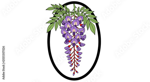 Beautiful Wisteria Flower Cluster with Green Leaves in Oval Frame.