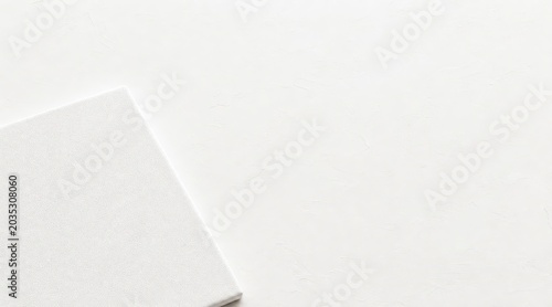 Blank white artist canvas flat lay background