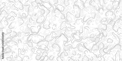 Fotografía Abstract topographic map contours texture background pattern design element