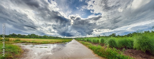 Country road with storm clouds and green asparagus field