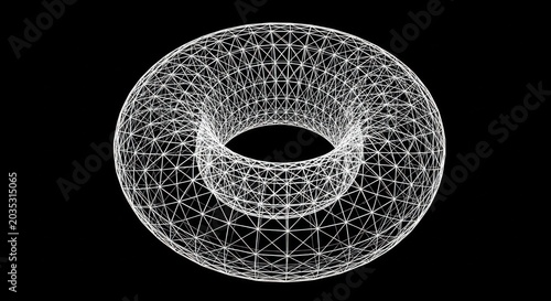 wireframe torus 3d model