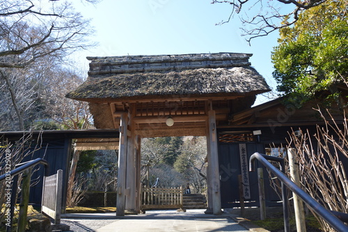 Canvas-taulu 神奈川県 鎌倉の東慶寺（縁切寺）