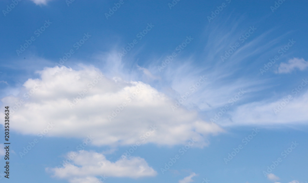 Obraz premium ​A bright blue sky with fluffy white clouds on a fine summer day. Light cirrus streaks picturesquely fan out from a large cumulus cloud, creating a dynamic natural pattern.