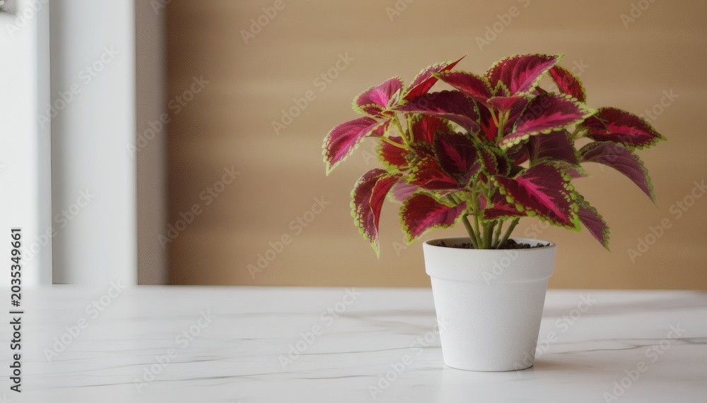 Fototapeta premium Vibrant artificial coleus foliage plant in a white ceramic pot standing on a clean white marble table surface, showcasing a minimalist modern home decor concept with bright light