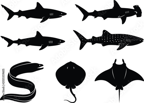 Black shark set, isolated on white background, shark silhouette shark, minimalist shark