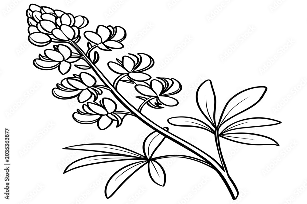 Fototapeta premium coloring page line art the thrift flower black vector