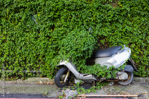 Abandoned old scooter covered by green plant leaves outdoor