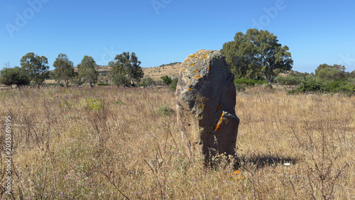 Ancient menhir standing in Tratalias archaeological landscape Sardinia