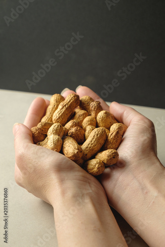 Obraz na plátně Hands cradling a treasure trove of fresh peanuts in warm light
