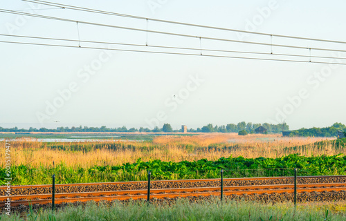 Railway through bright wetland at sunrise in springtime, Oostvaardersplassen,, Lelystad, Flevoland, Netherlands, May 26, 2026