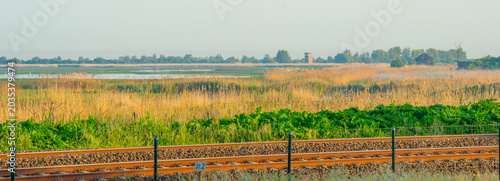 Railway through bright wetland at sunrise in springtime, Oostvaardersplassen,, Lelystad, Flevoland, Netherlands, May 26, 2026