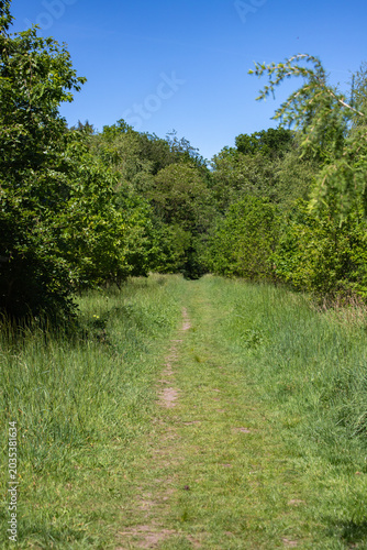 path in senne bielefeld