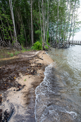THAILAND TRAT BLACK SAND BEACH MANGROVE FOREST